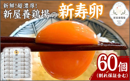 バナー