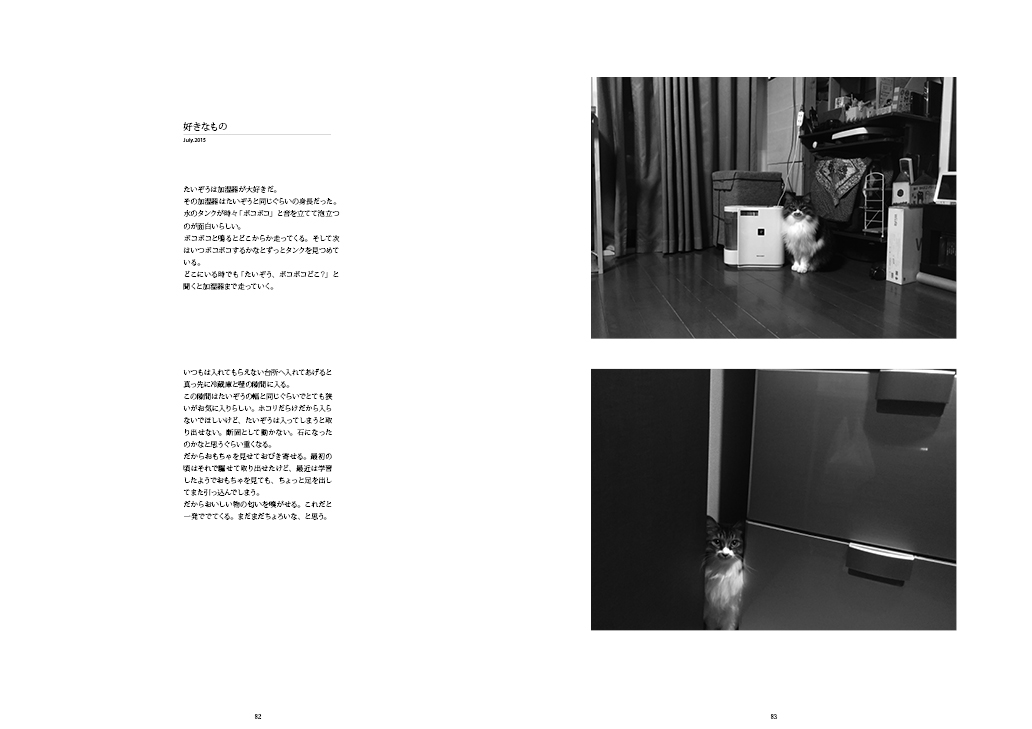 フォトエッセイ