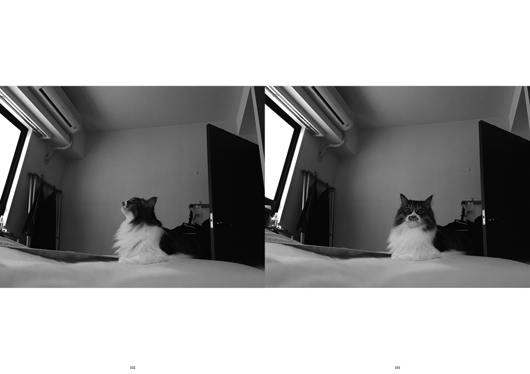 フォトエッセイ